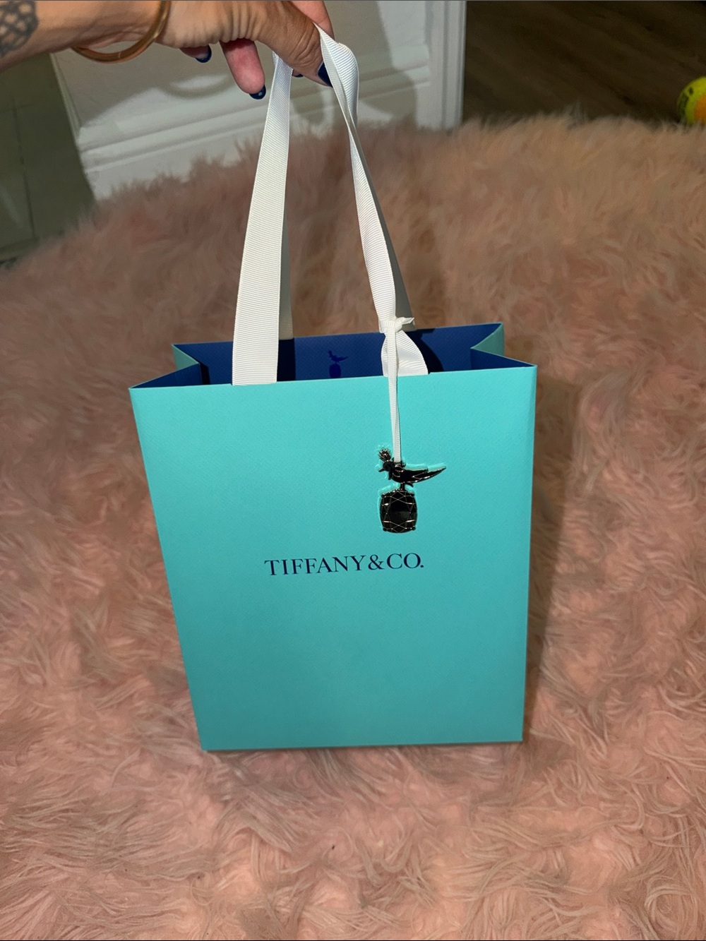 Tiffany & Co. Robin's Egg Blue Shopping Bag with White Ribbon Handles